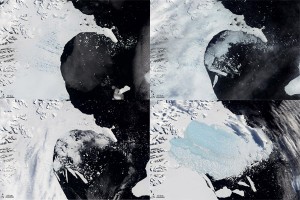 NASA satellite pictures of the breakup of the Larsen B ice shelf from Jan 31st to Mar 7th 2002. Image sequence from top left to bottom right. The blue colour in the final picture is the debris of sea ice remaining: 3,250 square kilometers, or 1,250 square miles of permanent ice has disintegrated, the largest collapse ever seen.