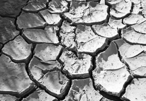 Drought in Portugal. Photo: Bert Kaufman