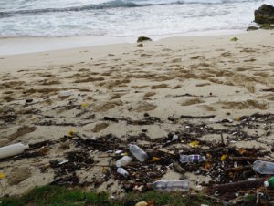 polluted beach